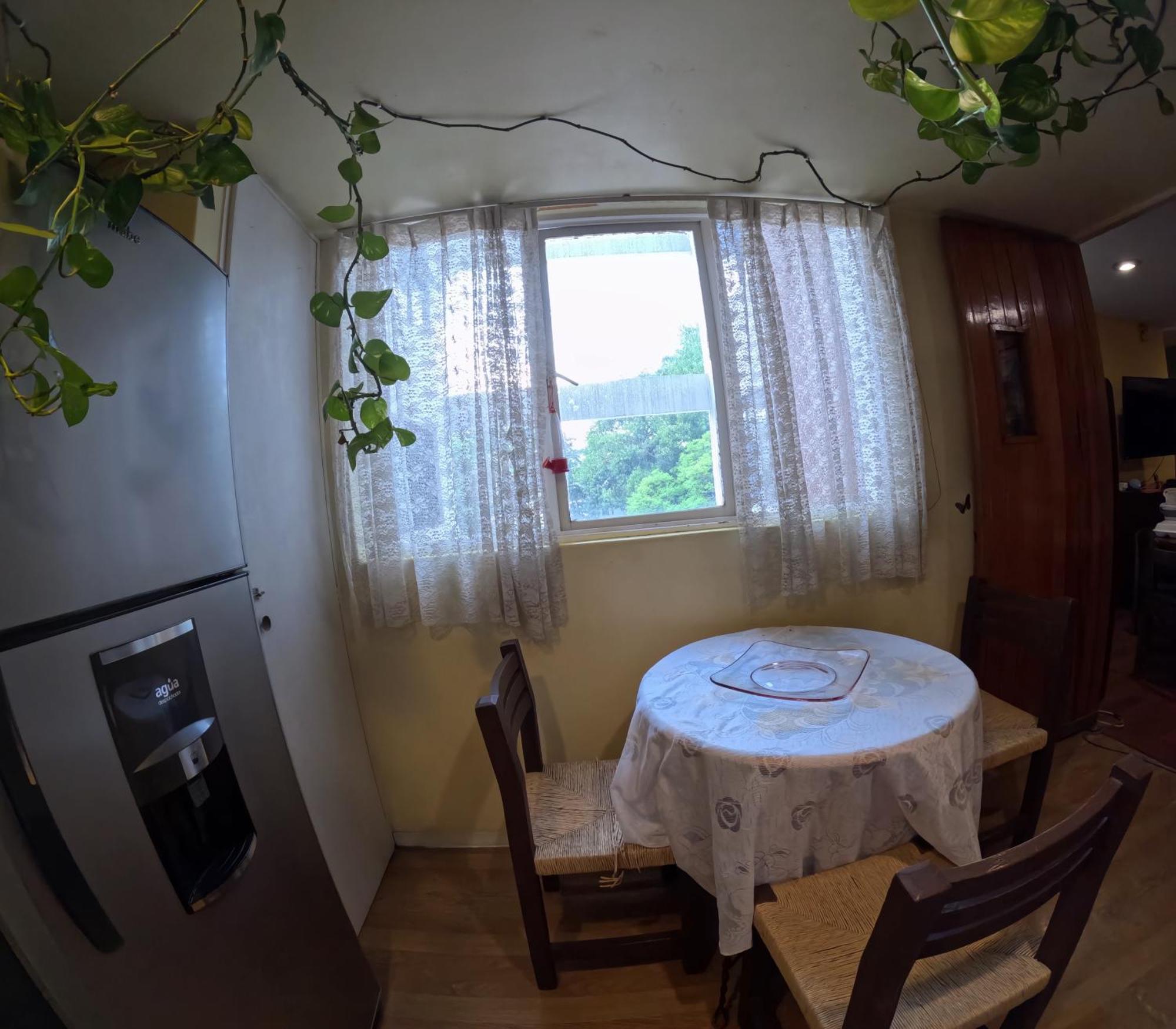 Neighbor Of Frida Khalo, Vintage Stay In Coyoacan Mexico City Exterior photo